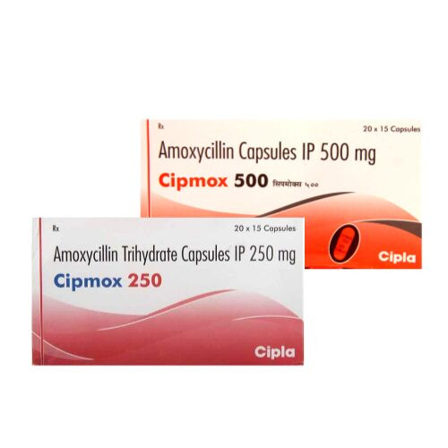시프목스 250mg~500mg 아목시실린 Cipmox